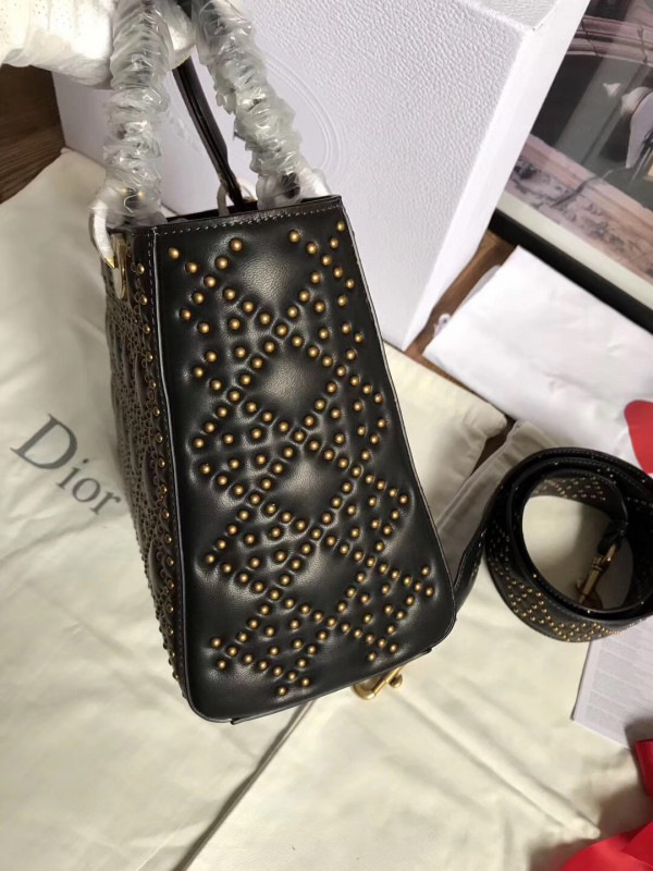 cohotbag lady D10r 1566