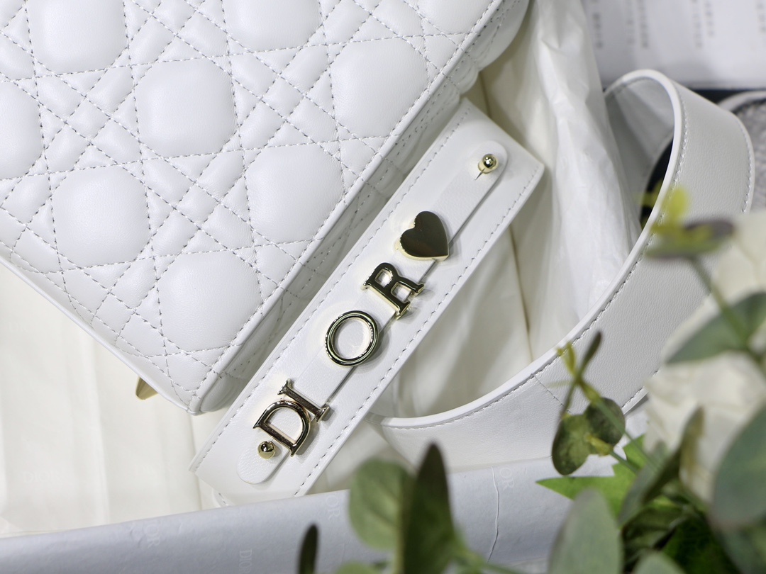 D10r lady my abcD10r bag latte cannage lambskin m0538 20cm