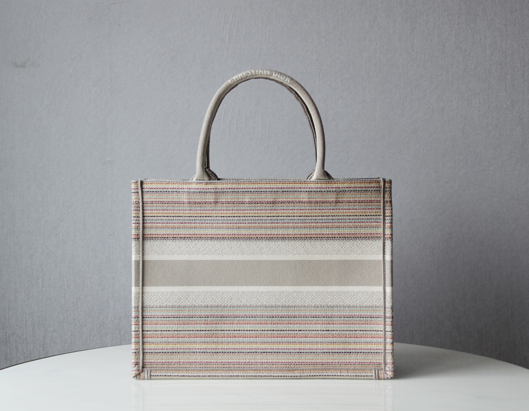 D10r small D10r book tote multicolor stripes embroidery m1296 36.5 x 28 x 16 cm
