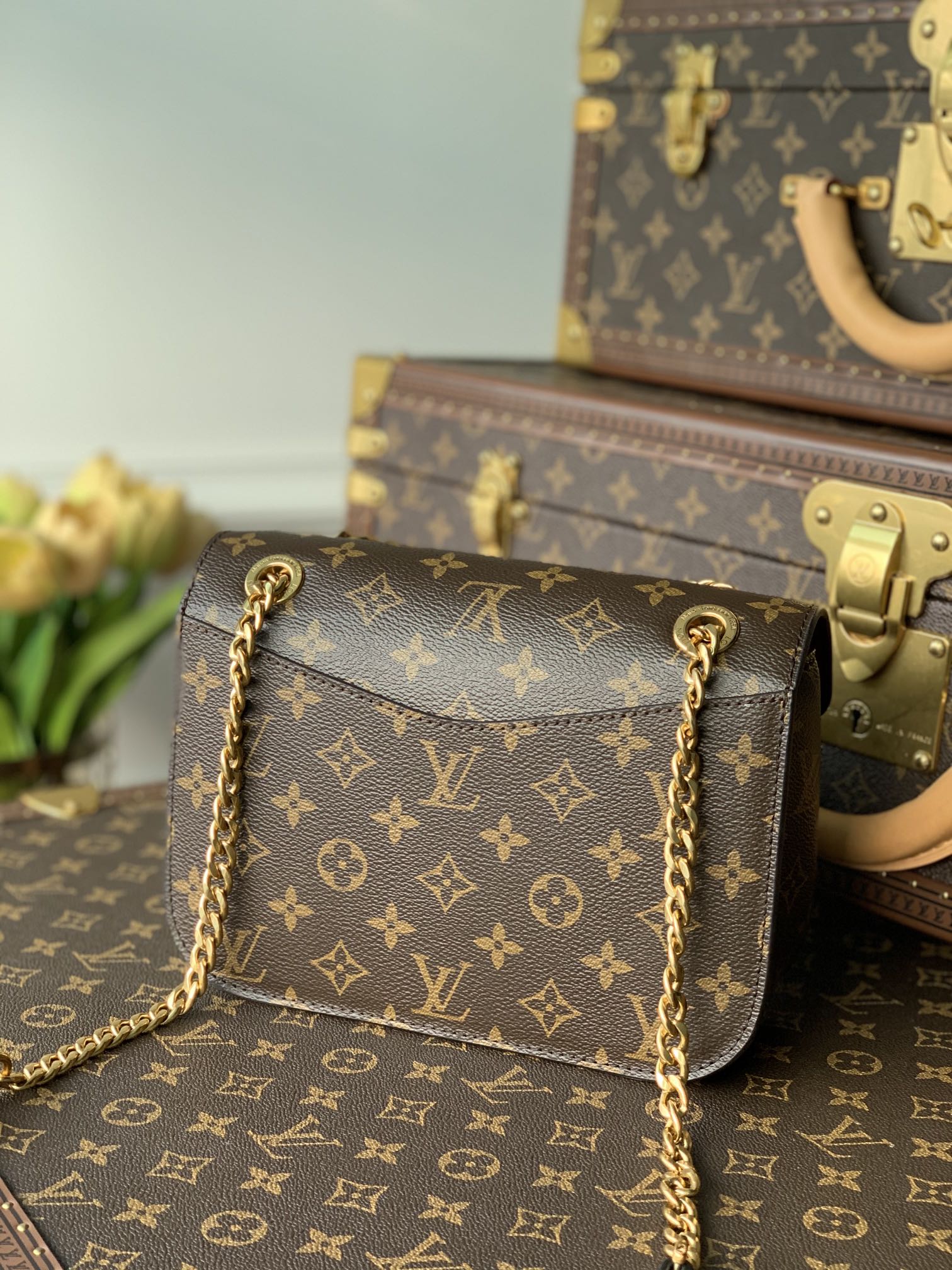 l0vis Vvtt0n passy monogram m45592 22 x 17 x 10cm