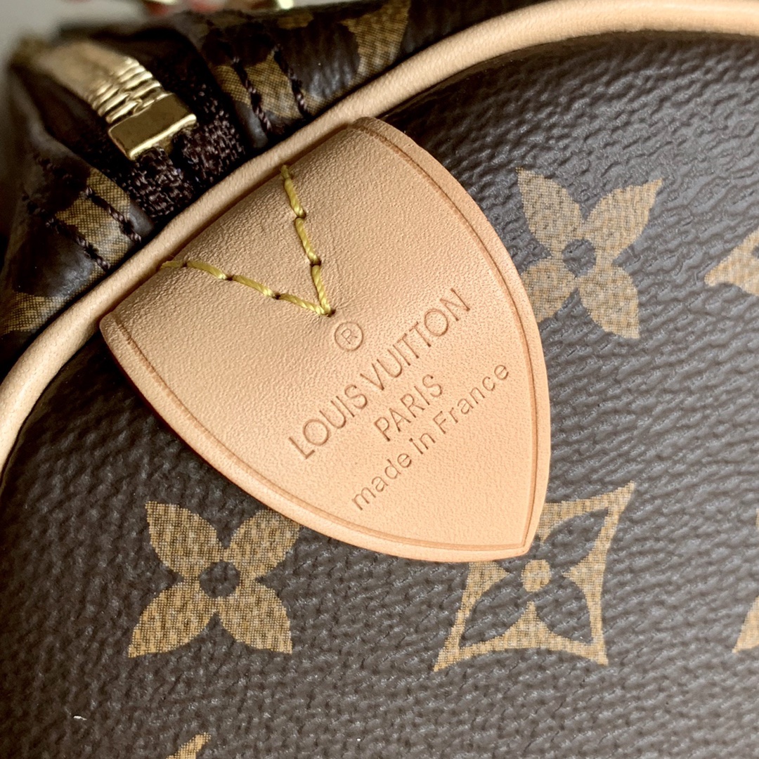l0vis Vvtt0n speedy 25 monogram canvas brown m41109 25 x 19 x 15 cm