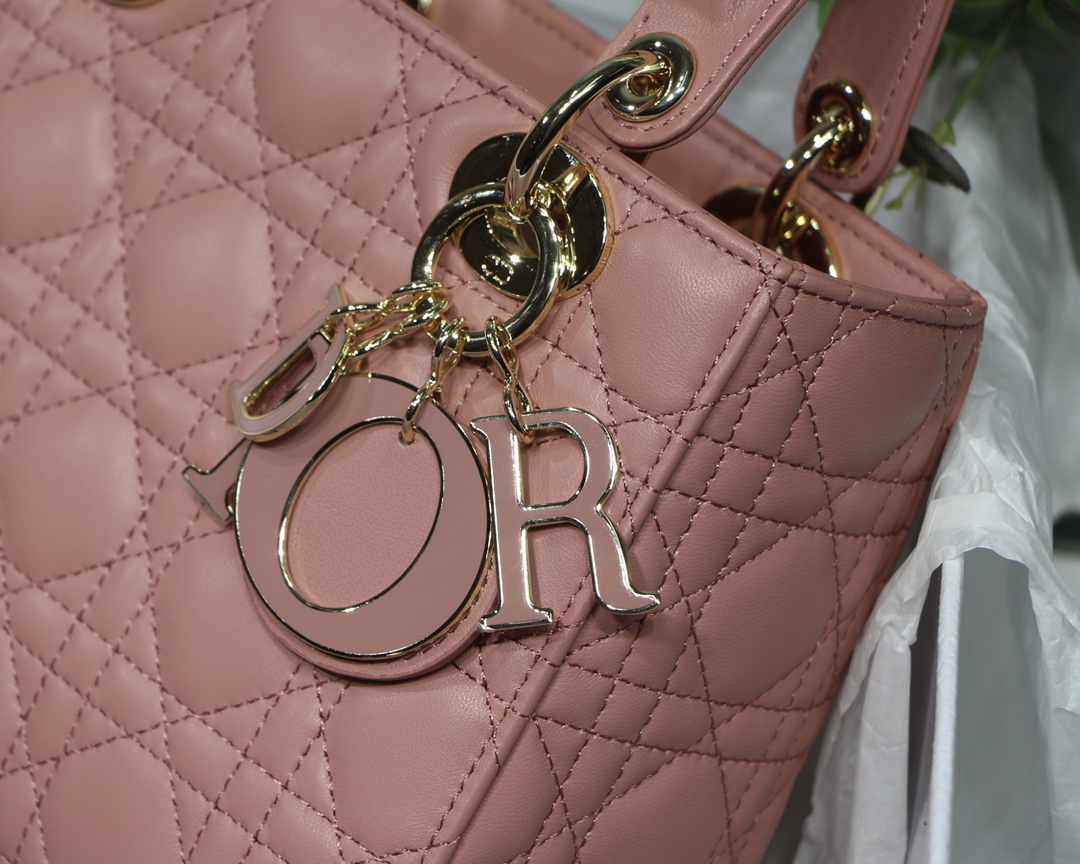 D10r lady D10r my abcD10r bag powder pink m0538 20cm